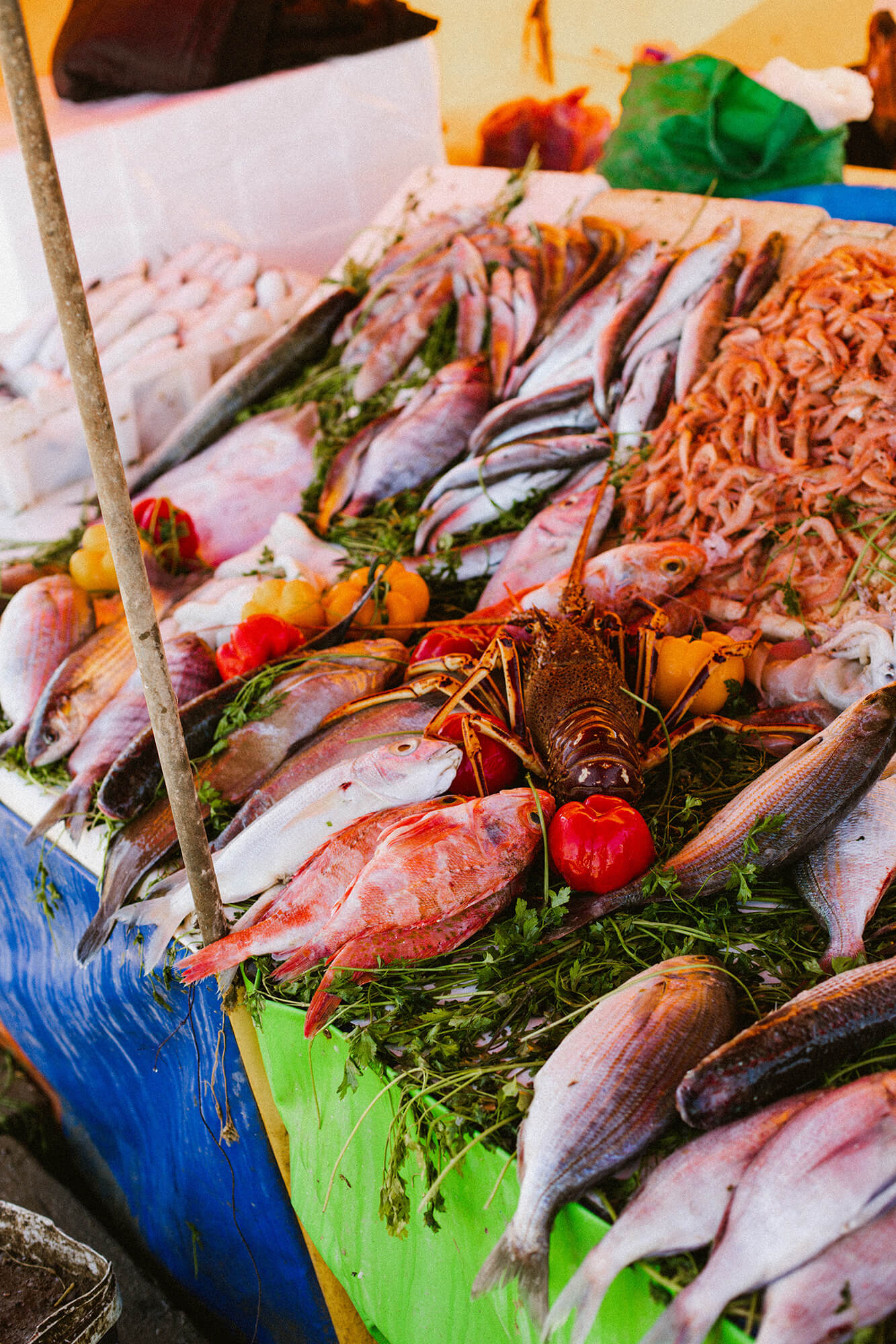 marché aux poissons du chili