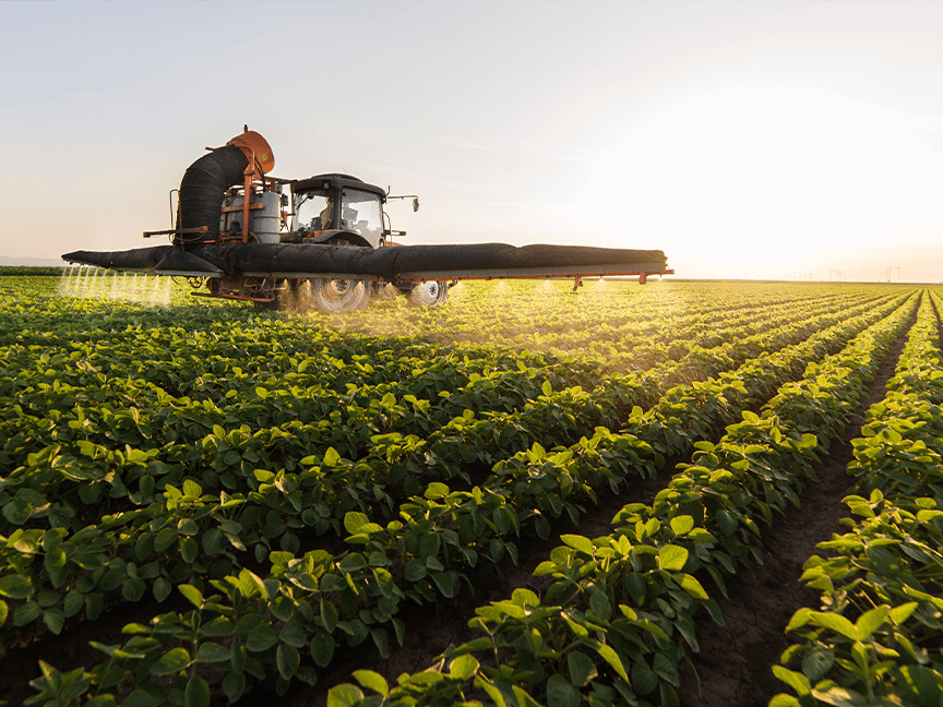 machine fertilizing a field of crop